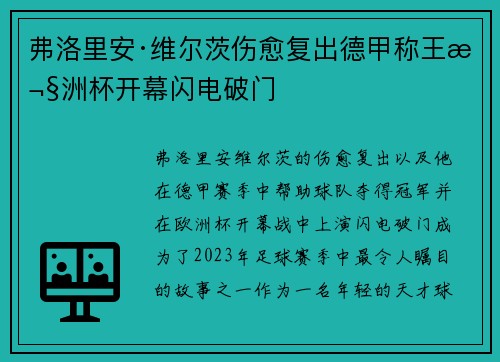 弗洛里安·维尔茨伤愈复出德甲称王欧洲杯开幕闪电破门
