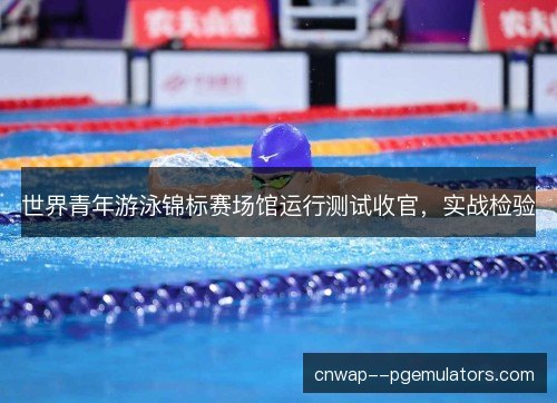 世界青年游泳锦标赛场馆运行测试收官，实战检验